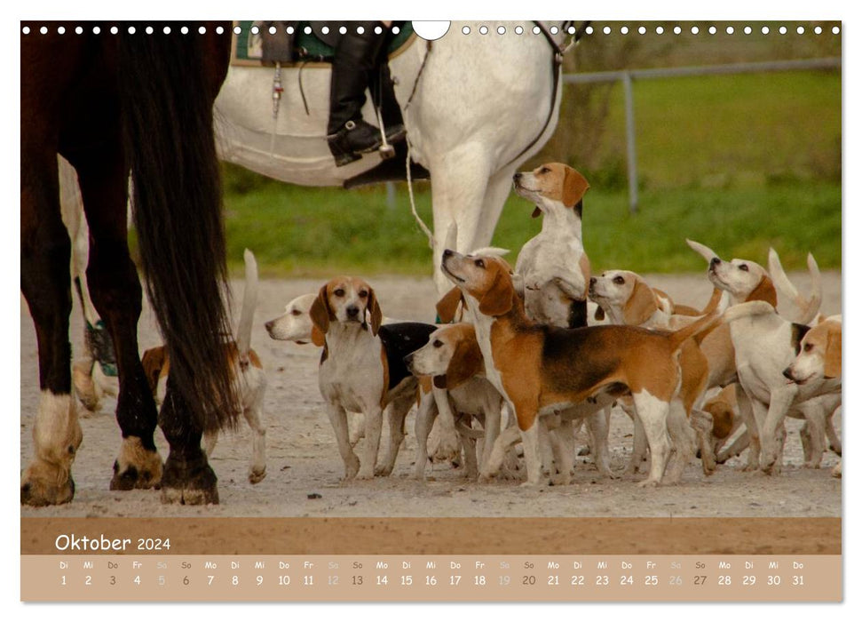 With horses through the year (CALVENDO wall calendar 2024) 