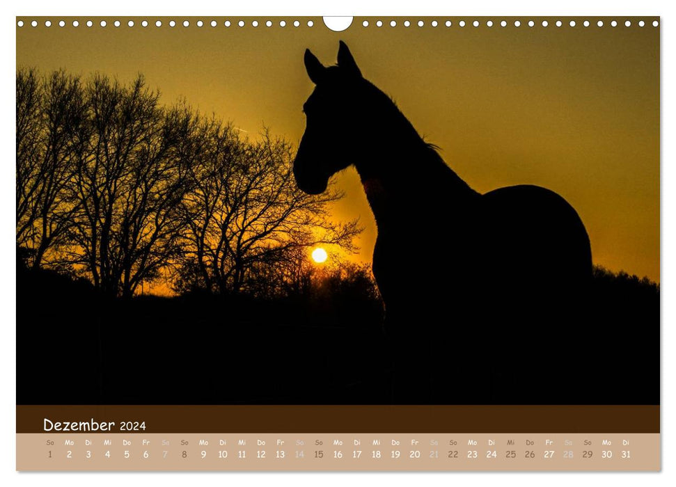 With horses through the year (CALVENDO wall calendar 2024) 