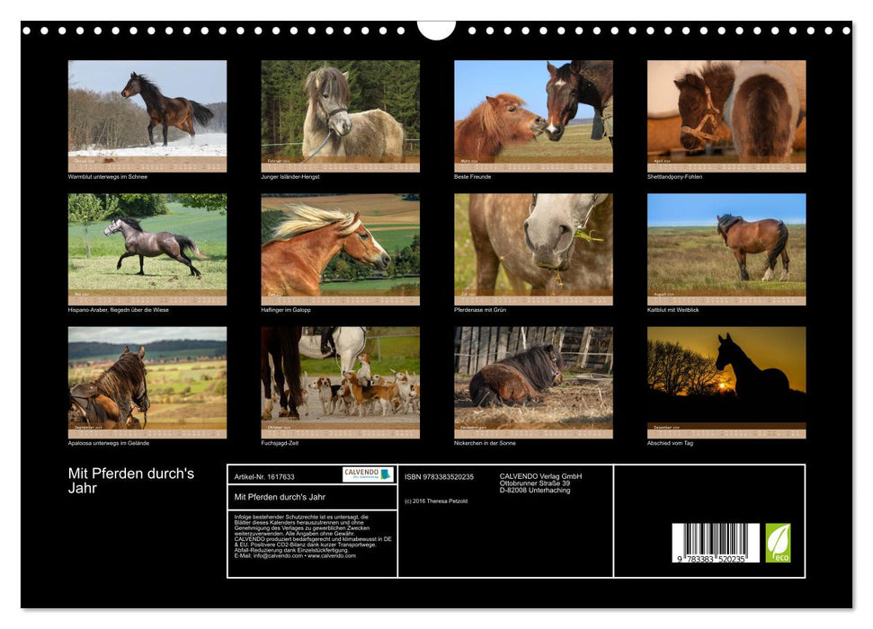 With horses through the year (CALVENDO wall calendar 2024) 