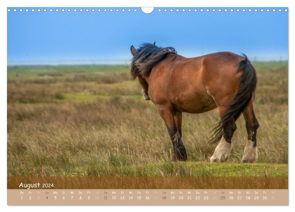 With horses through the year (CALVENDO wall calendar 2024) 