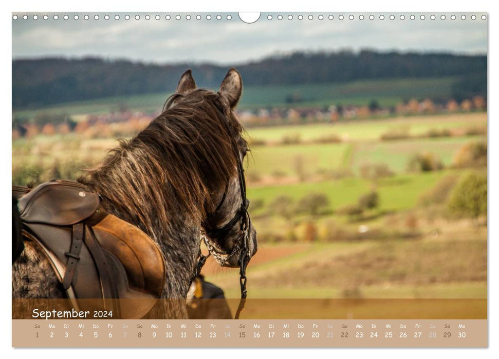 With horses through the year (CALVENDO wall calendar 2024) 