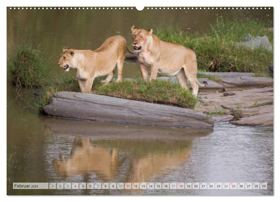 Moments d'émotion : Africa Wildlife Part 2 / version CH (calendrier mural CALVENDO 2024)