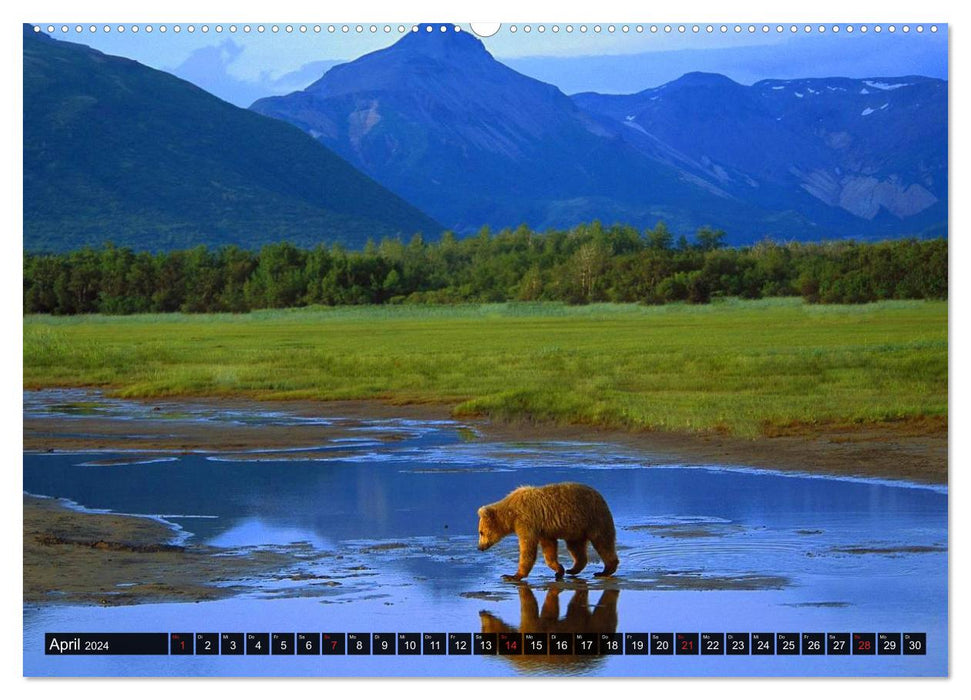 Alaska - Wide Country (CALVENDO Premium Wall Calendar 2024) 