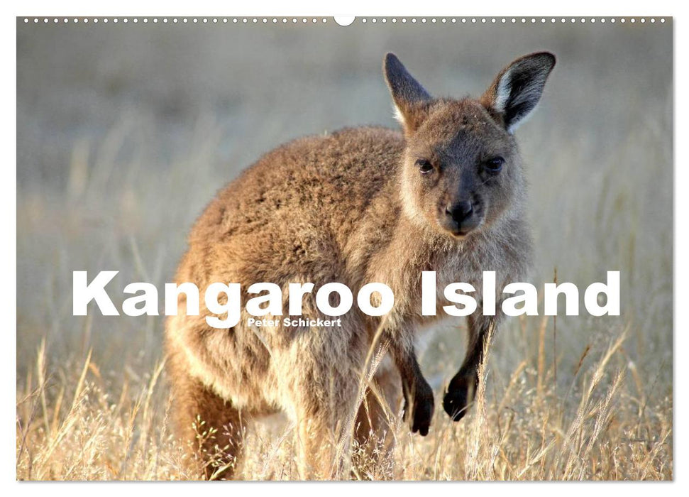 Kangaroo Island (CALVENDO Wandkalender 2024)