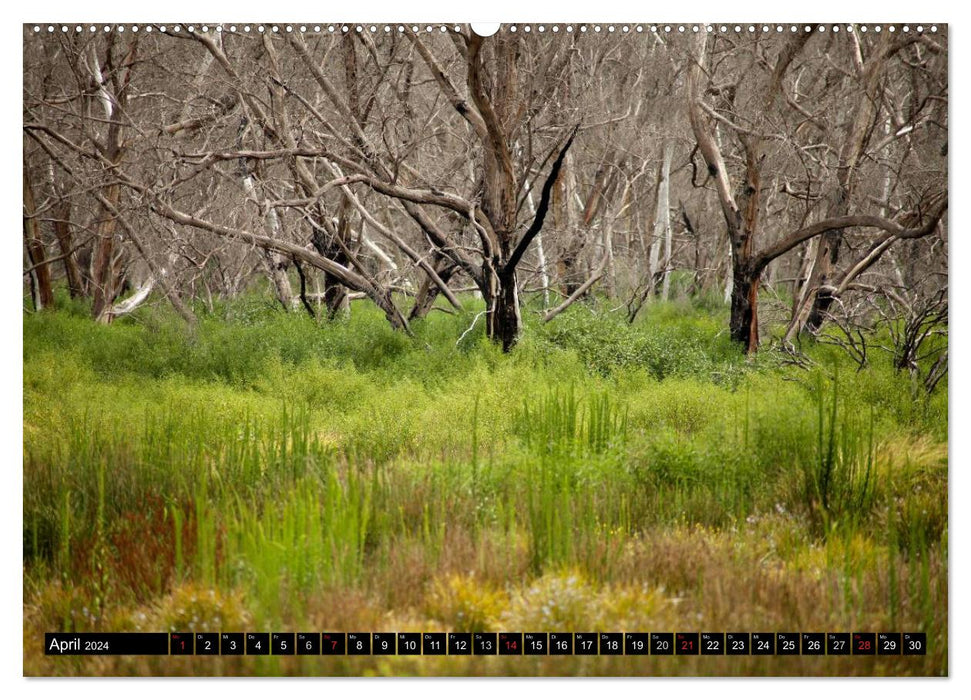 Kangaroo Island (CALVENDO Wandkalender 2024)