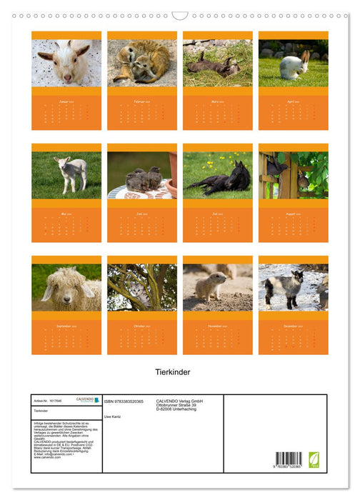 Tierkinder (CALVENDO Wandkalender 2024)
