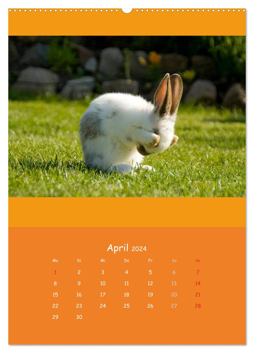 Tierkinder (CALVENDO Wandkalender 2024)