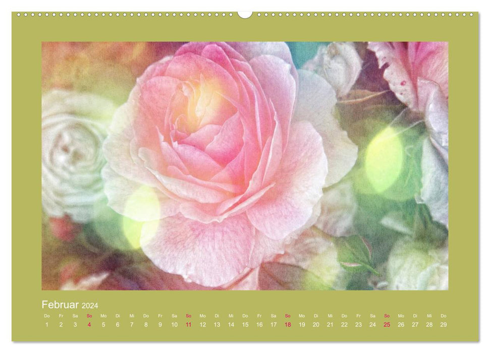 Romantische Rosen (CALVENDO Wandkalender 2024)