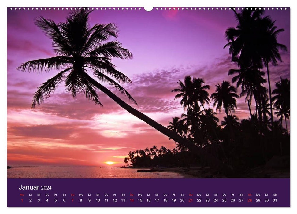 Dream beaches (CALVENDO Premium wall calendar 2024) 