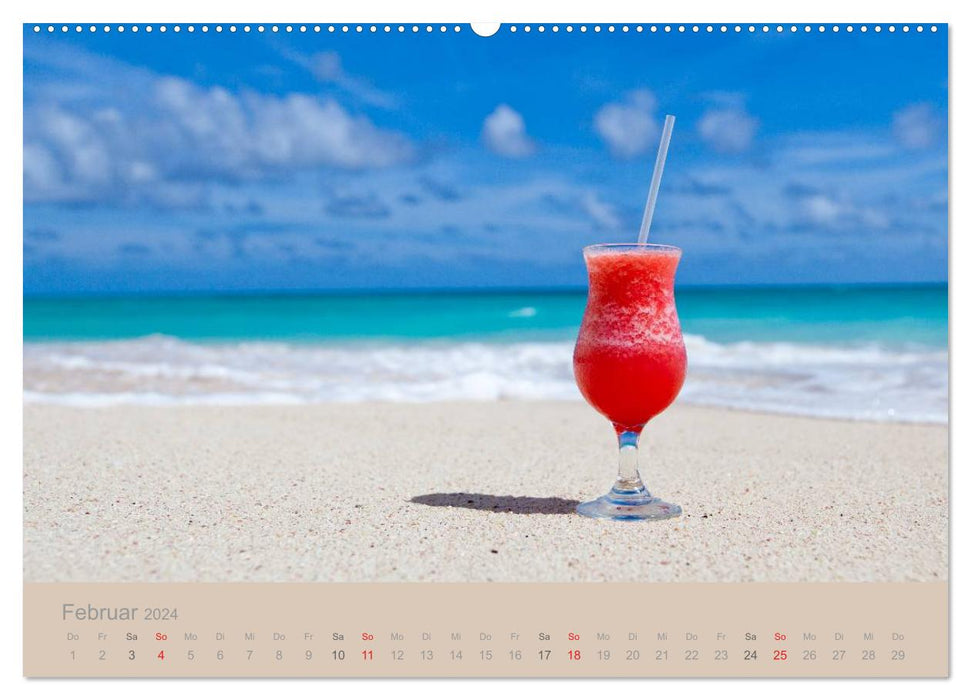Dream beaches (CALVENDO Premium wall calendar 2024) 