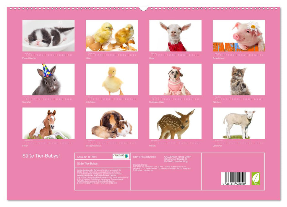 Cute baby animals! (CALVENDO Premium Wall Calendar 2024) 