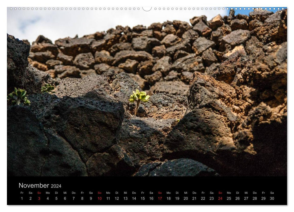 On the road in Lanzarote (CALVENDO Premium wall calendar 2024) 