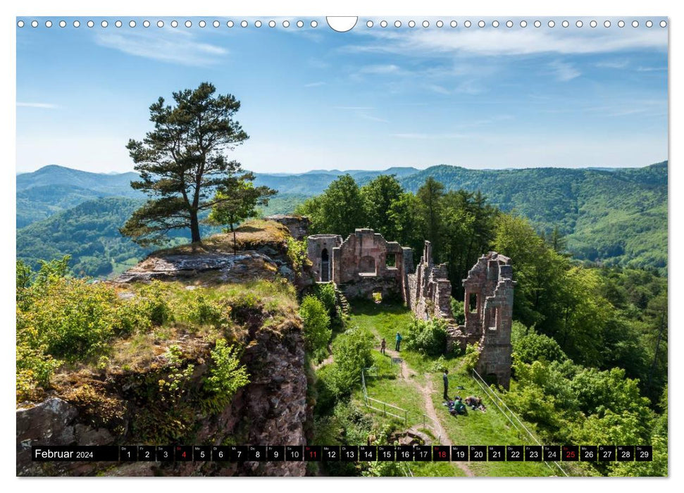 Pfälzer Sehenswürdigkeiten - Teil I (CALVENDO Wandkalender 2024)