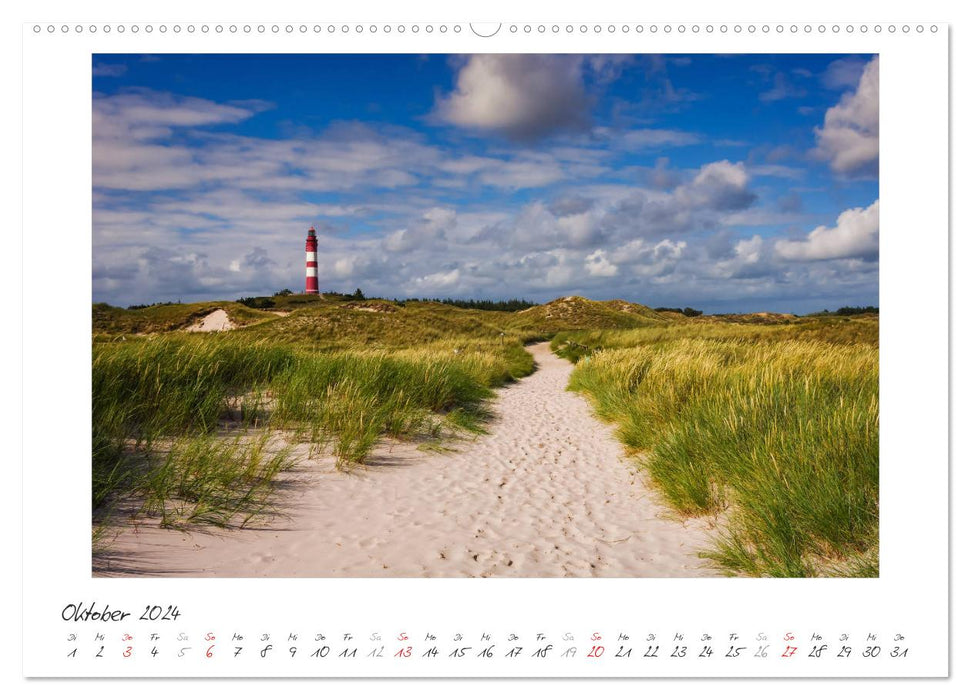 Nordsee - einfach Meer (CALVENDO Wandkalender 2024)