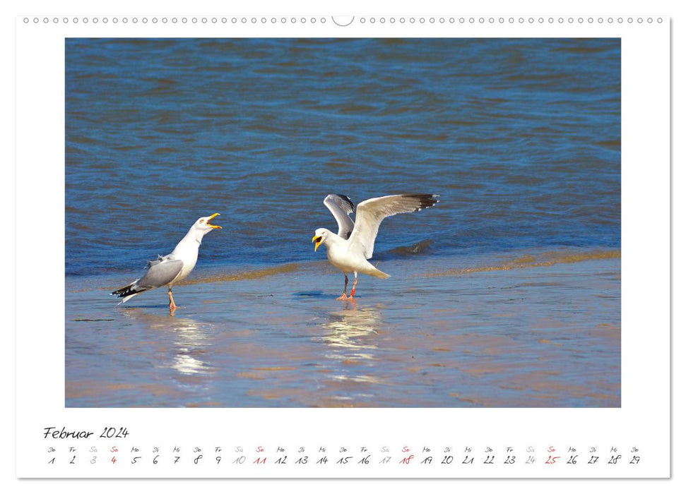 Nordsee - einfach Meer (CALVENDO Wandkalender 2024)