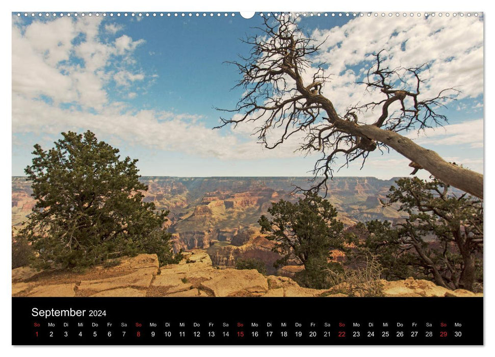 Grand Canyon - Wunder der Natur (CALVENDO Wandkalender 2024)