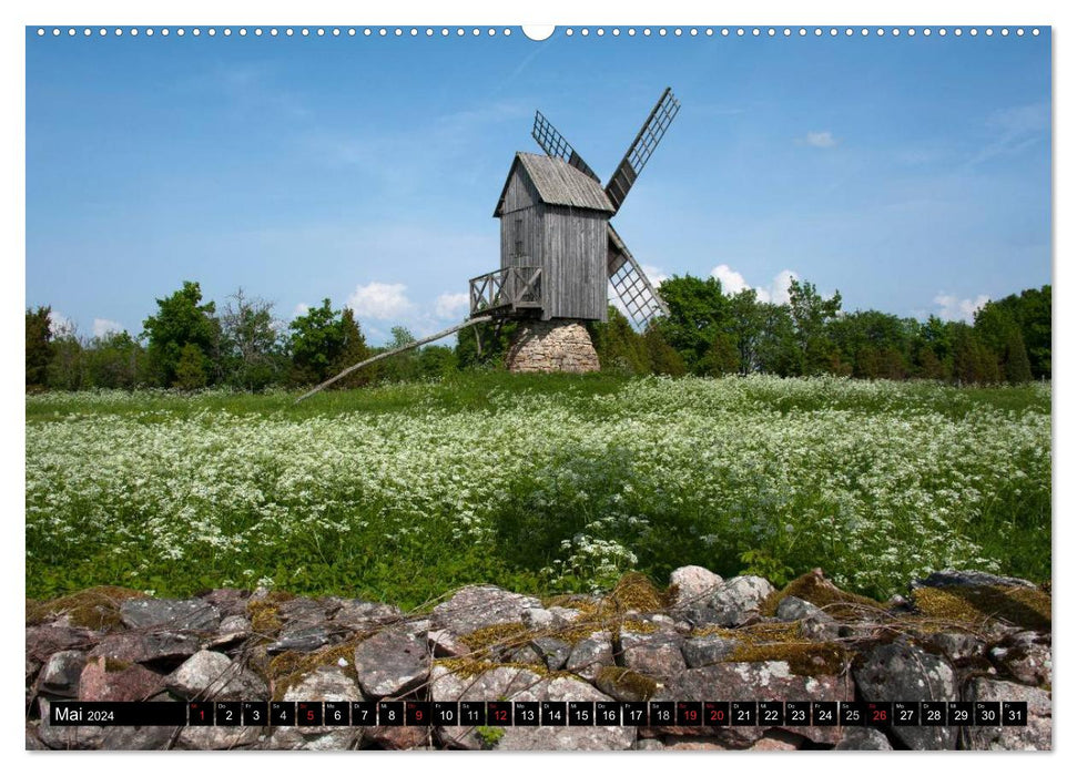 Moulins à vent en Europe (calendrier mural CALVENDO 2024) 