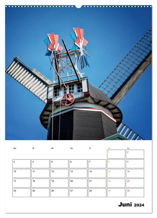 Historische Windmühlen an der Friesischen Mühlenstraße / CH-Version / Planer (CALVENDO Wandkalender 2024)