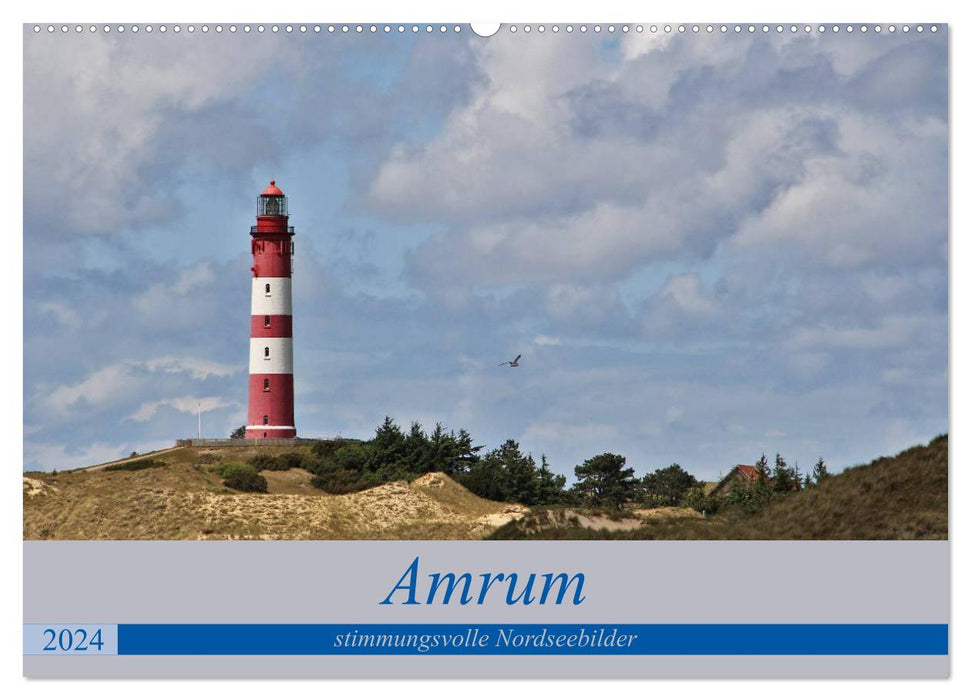 Amrum - images atmosphériques de la mer du Nord (calendrier mural CALVENDO 2024)