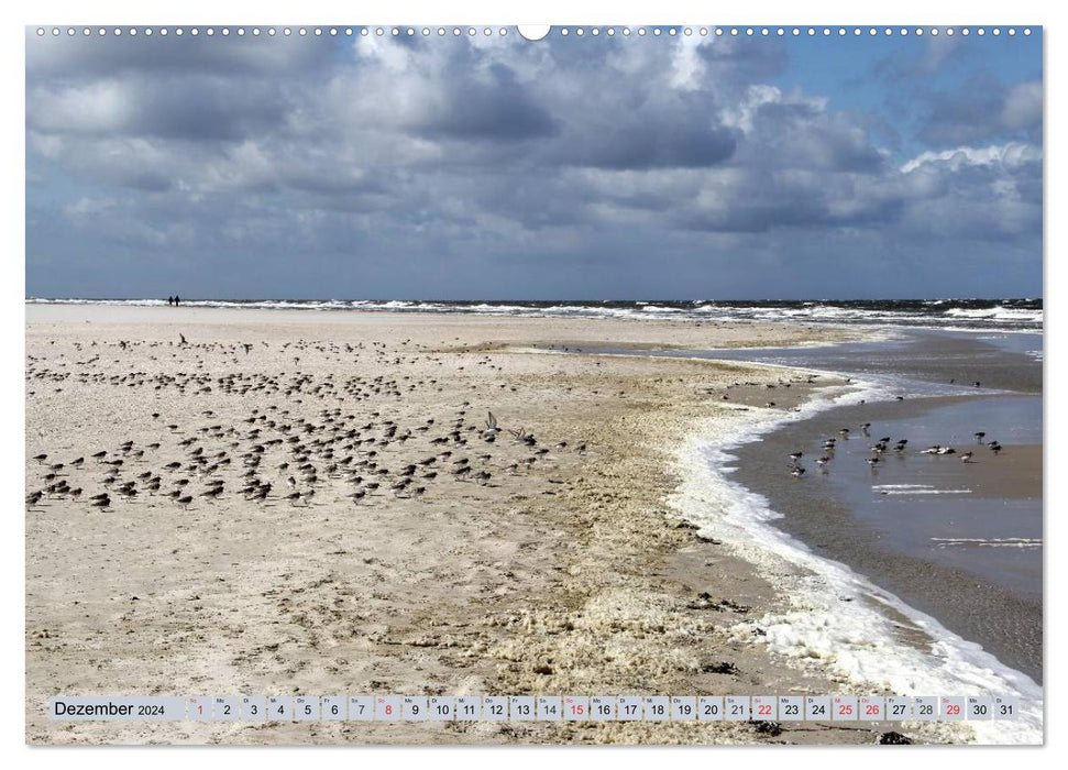 Amrum - images atmosphériques de la mer du Nord (calendrier mural CALVENDO 2024)