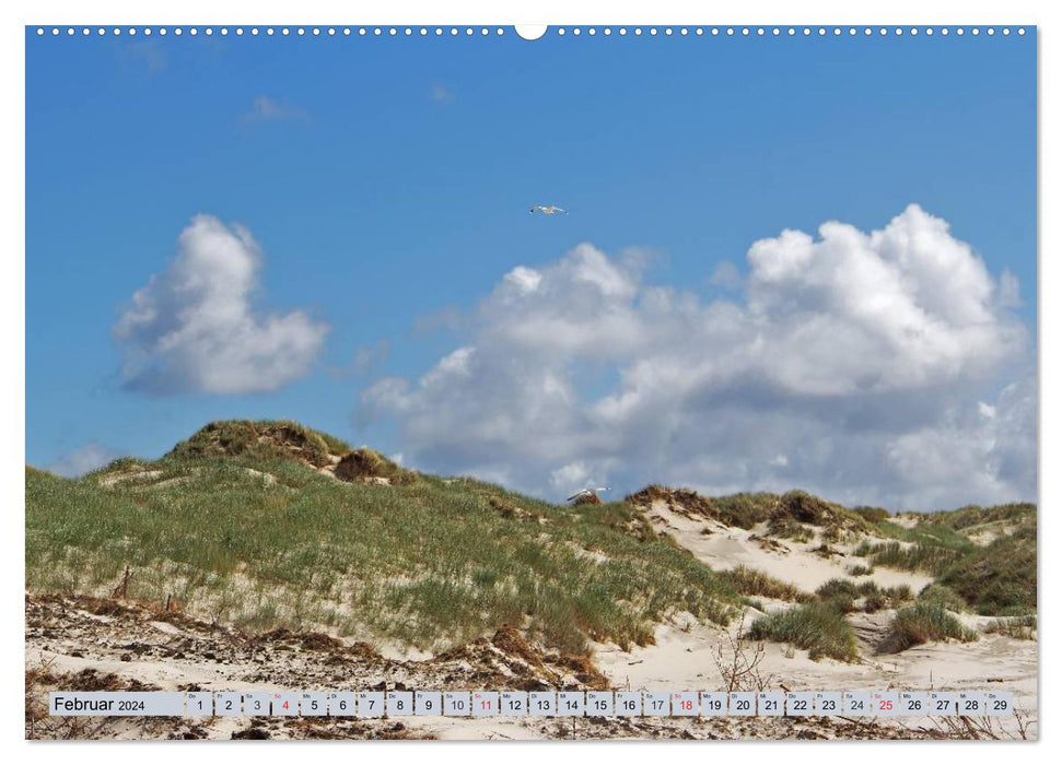 Amrum - images atmosphériques de la mer du Nord (calendrier mural CALVENDO 2024)