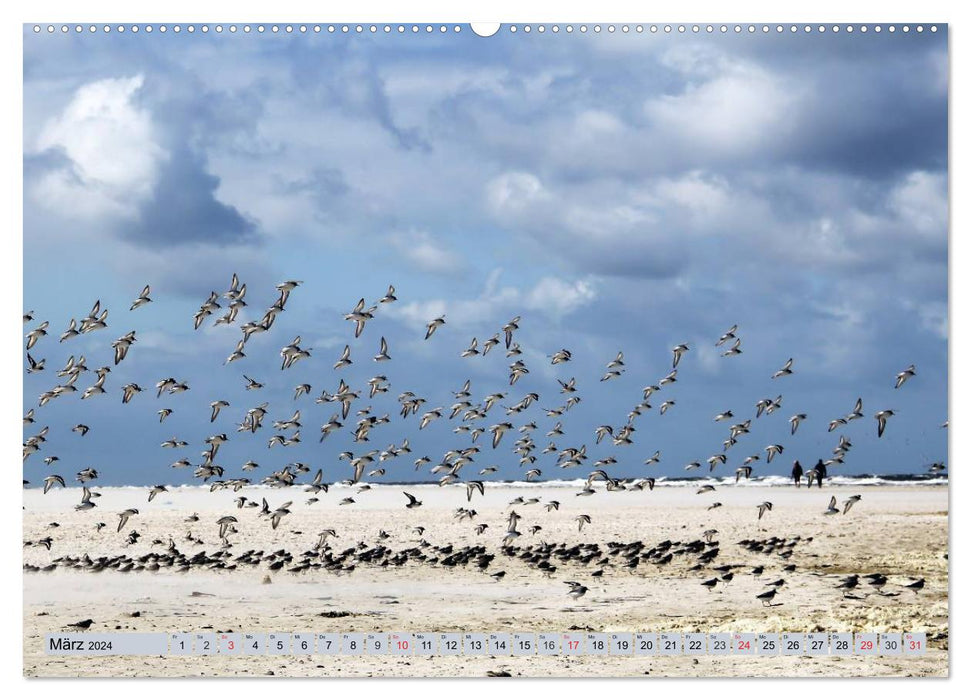 Amrum - images atmosphériques de la mer du Nord (calendrier mural CALVENDO 2024)