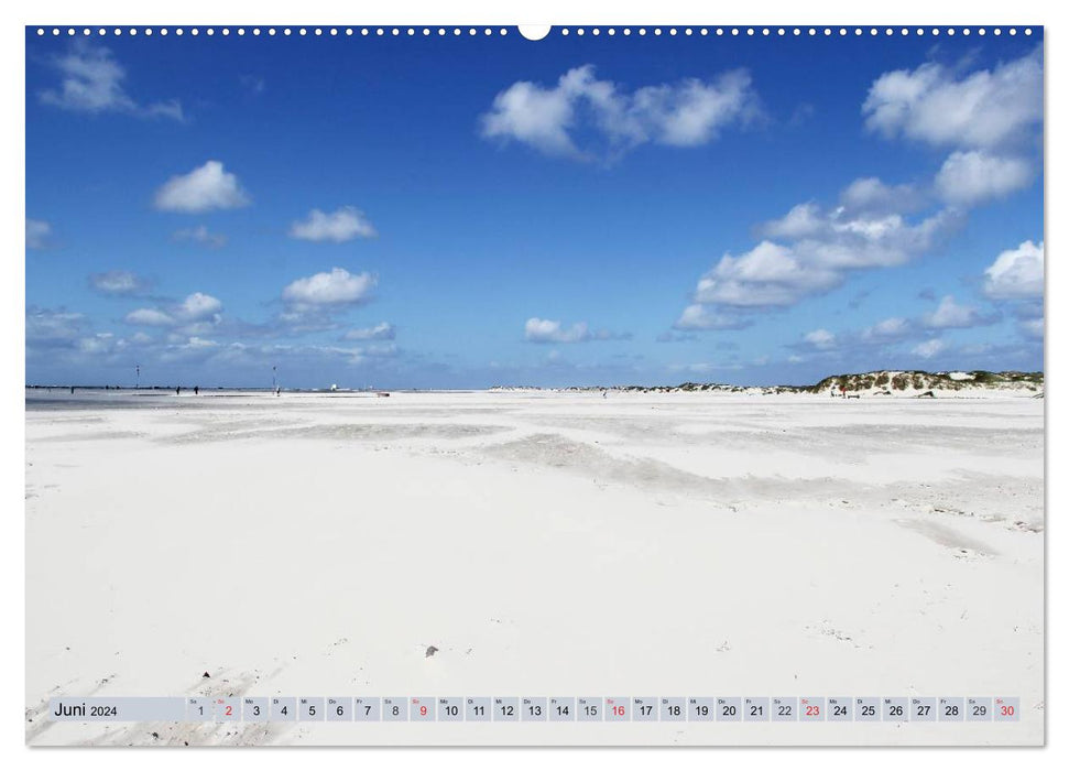 Amrum - images atmosphériques de la mer du Nord (calendrier mural CALVENDO 2024)