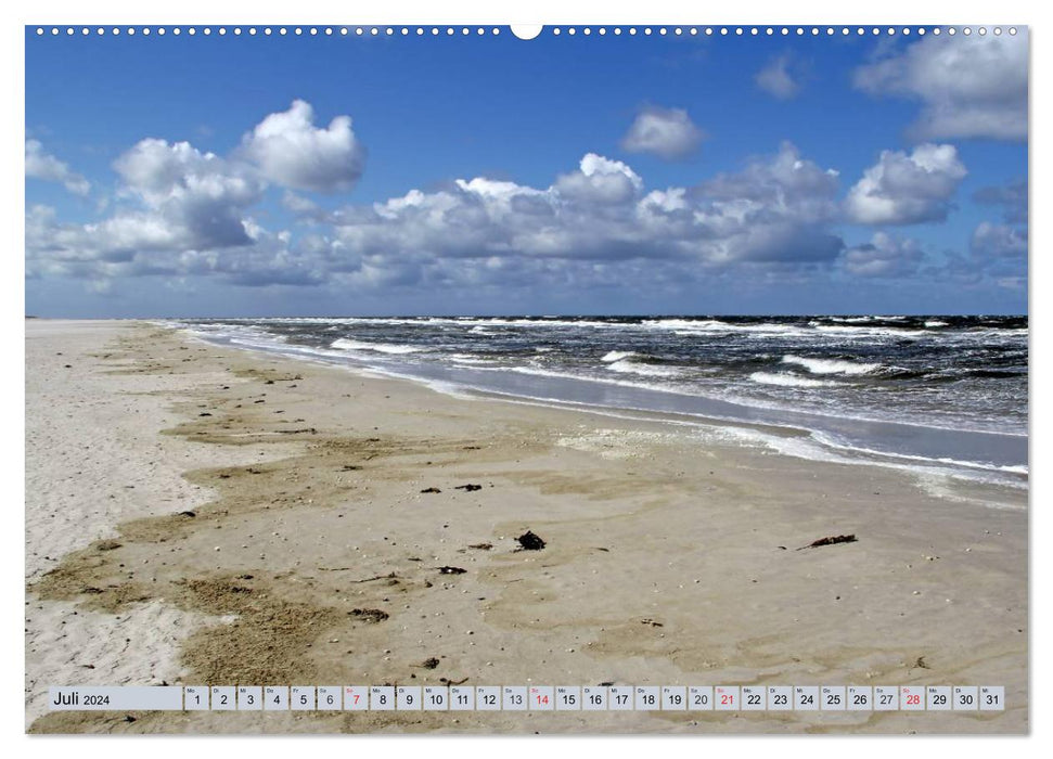 Amrum - images atmosphériques de la mer du Nord (calendrier mural CALVENDO 2024)