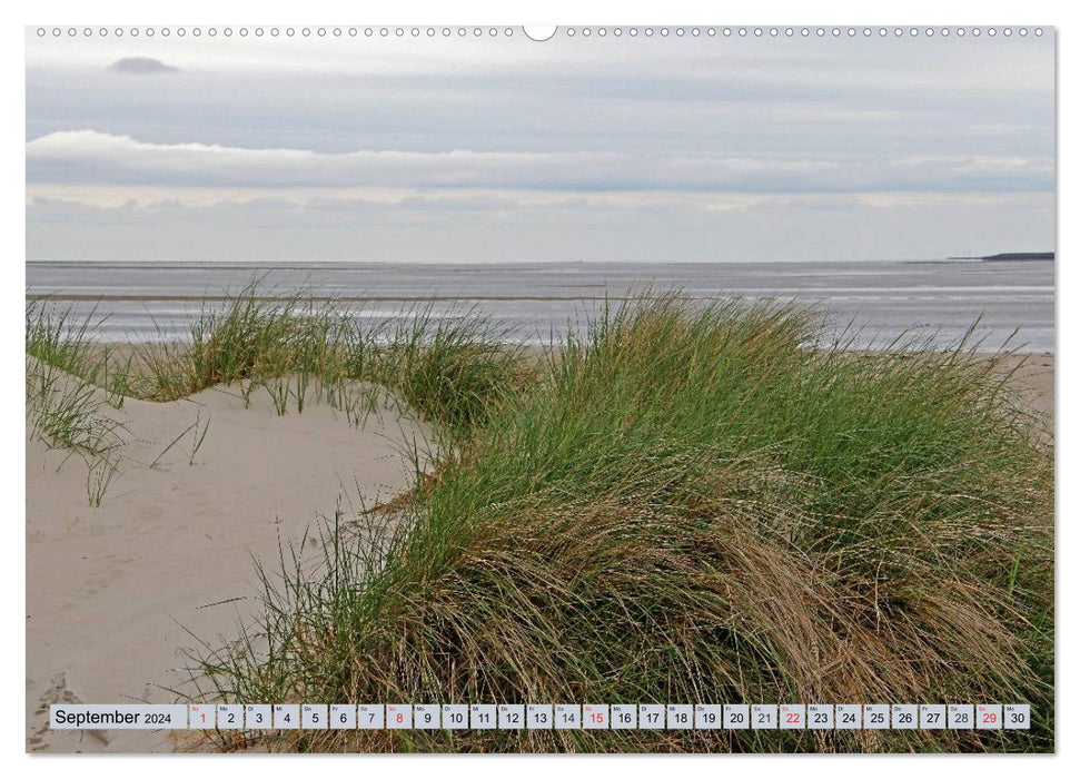 Amrum - images atmosphériques de la mer du Nord (calendrier mural CALVENDO 2024)