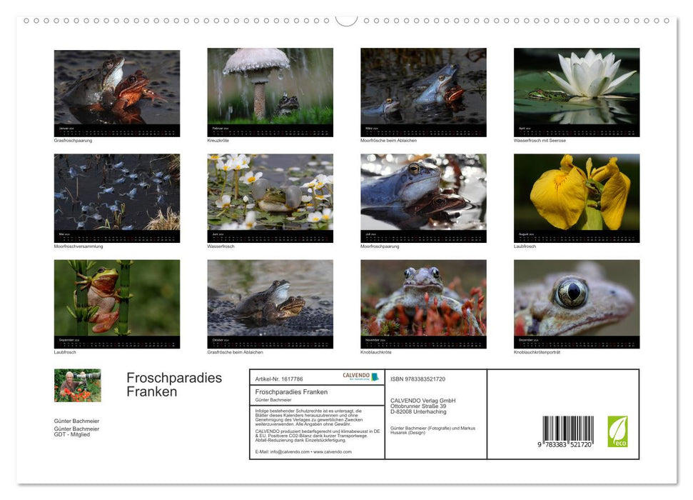 Froschparadies Franken (CALVENDO Premium Wandkalender 2024)