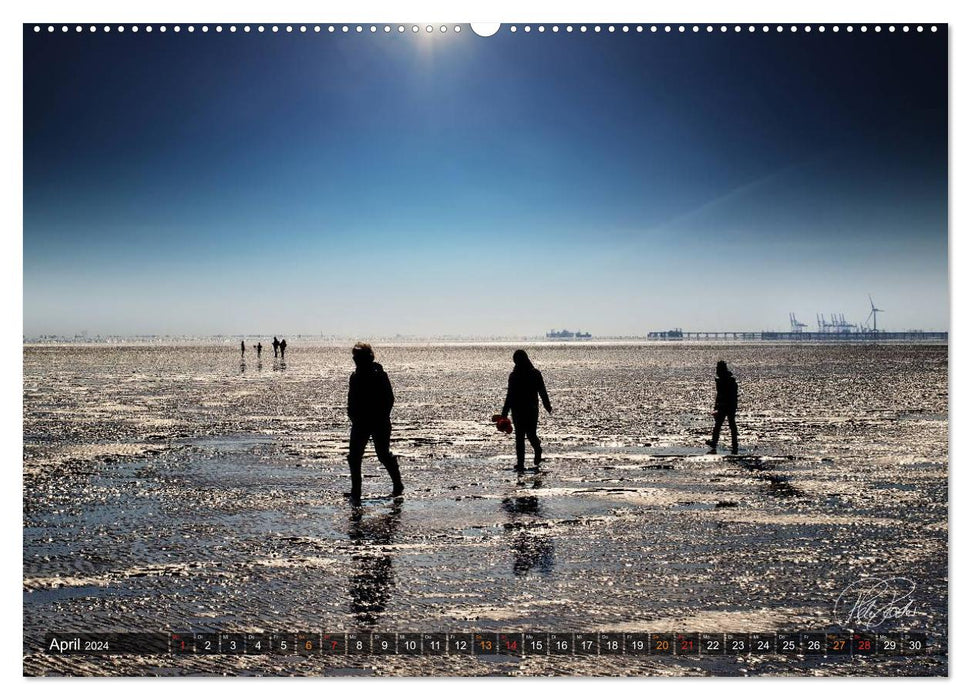 Friesland - Watt und Nordsee / CH-Version (CALVENDO Wandkalender 2024)