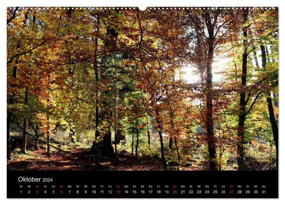 Baum Art (CALVENDO Premium Wandkalender 2024)