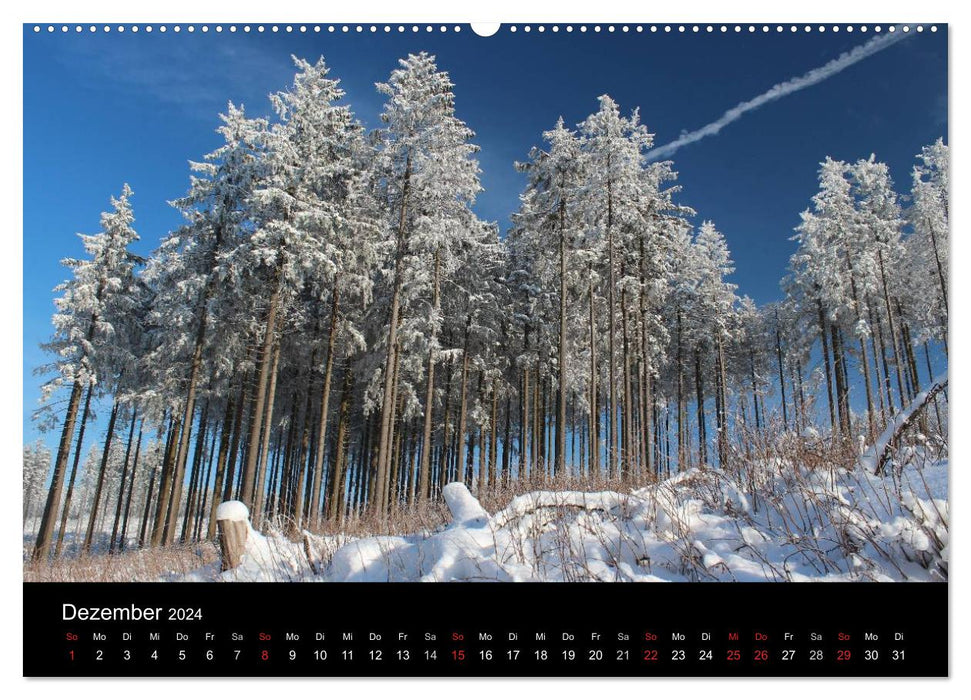 Tree Art (CALVENDO Premium Wall Calendar 2024) 
