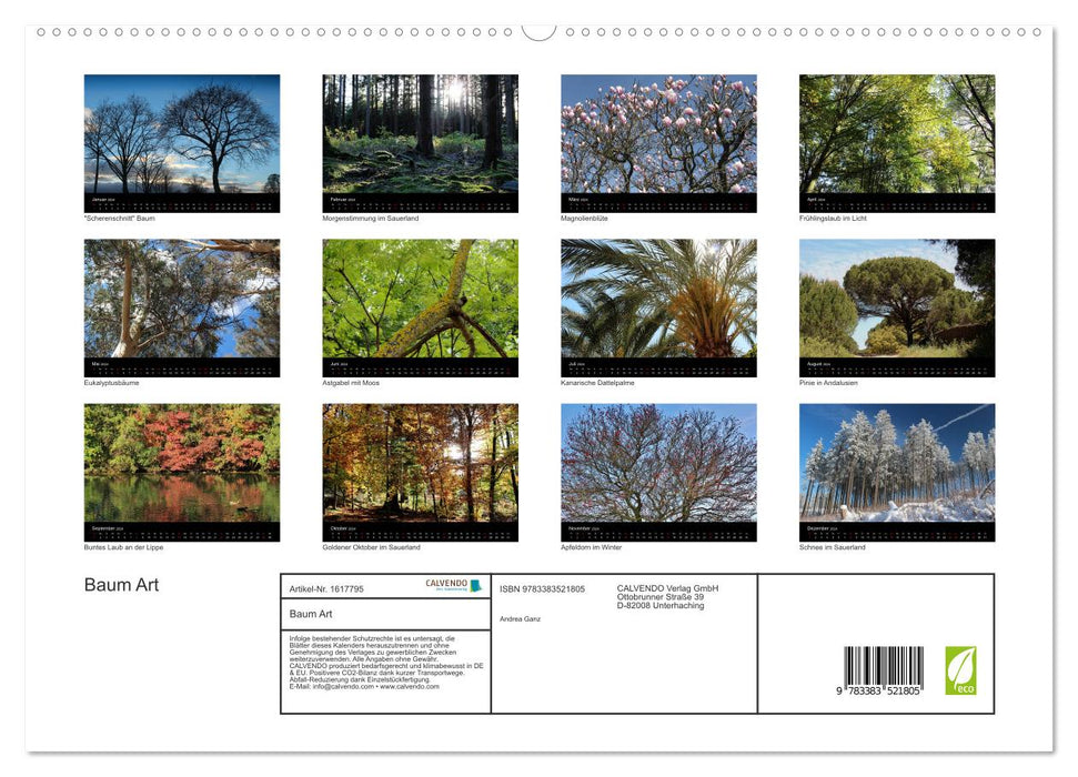 Baum Art (CALVENDO Premium Wandkalender 2024)