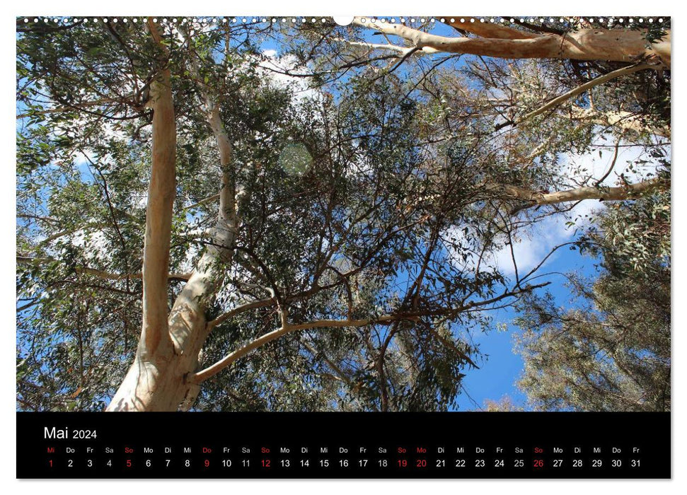 Tree Art (CALVENDO Premium Wall Calendar 2024) 