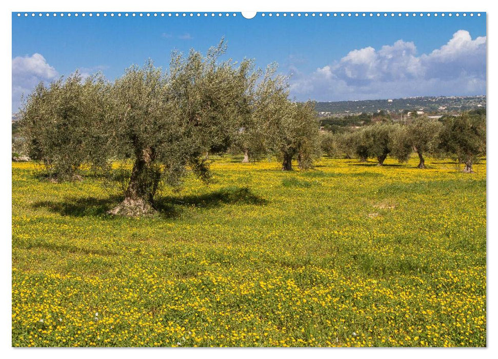 Sizilien 2024 / CH-Version (CALVENDO Premium Wandkalender 2024)