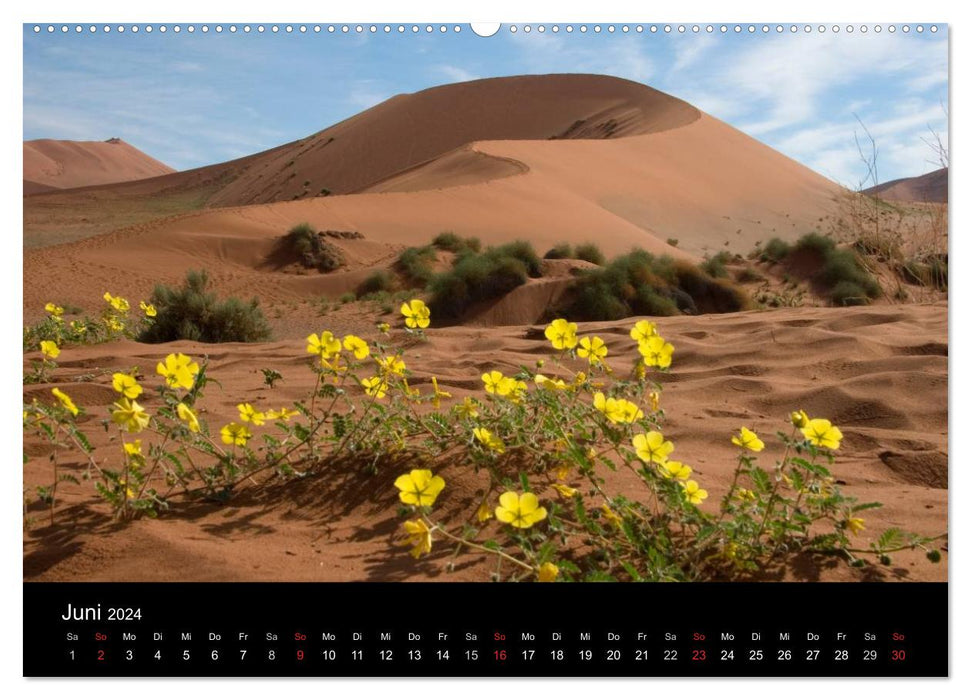 Les points forts de la Namibie (calendrier mural CALVENDO 2024) 