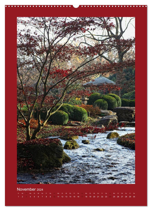 Splash of color - Augsburg Botanical Garden (CALVENDO Premium Wall Calendar 2024) 