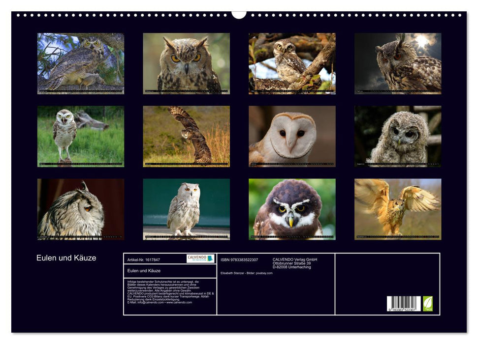 Owls. Mystical beauties (CALVENDO wall calendar 2024) 