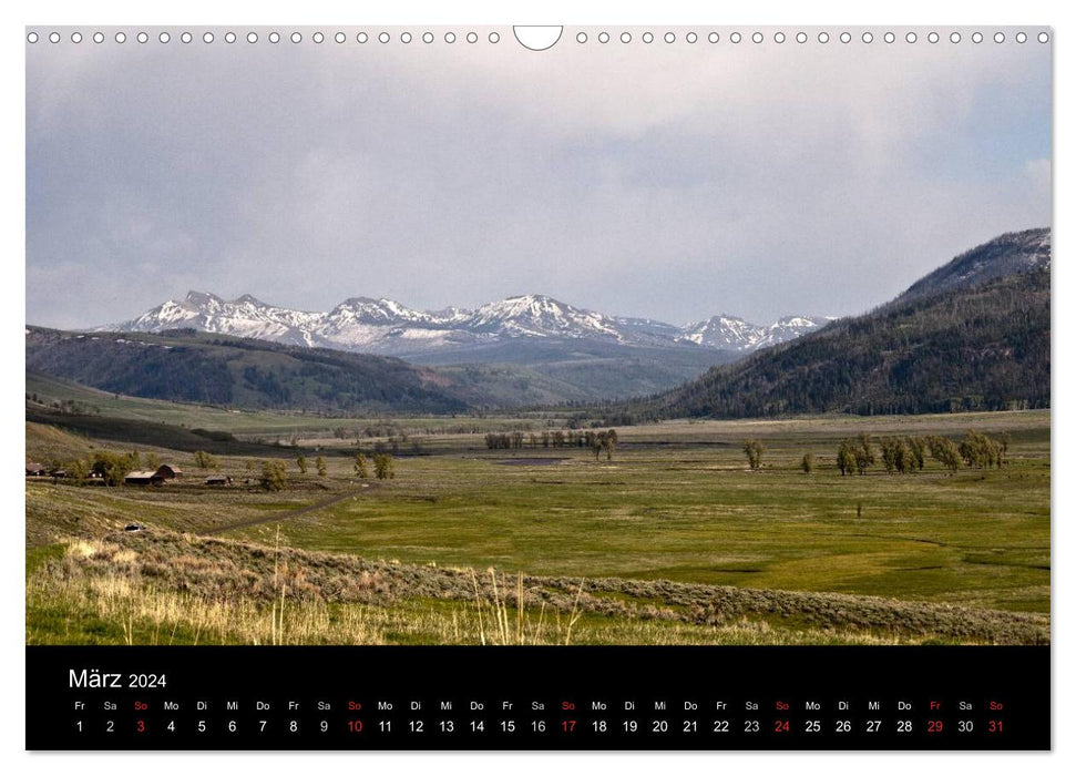 Aus dem wilden Westen (CALVENDO Wandkalender 2024)