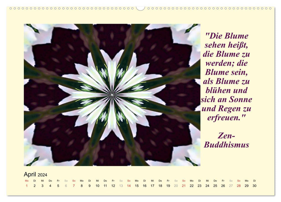 Meditation - Asian Wisdom (CALVENDO Premium Wall Calendar 2024) 
