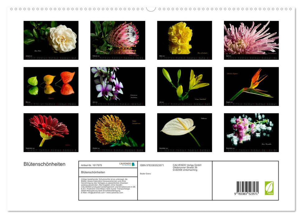 Flower beauties (CALVENDO Premium Wall Calendar 2024) 