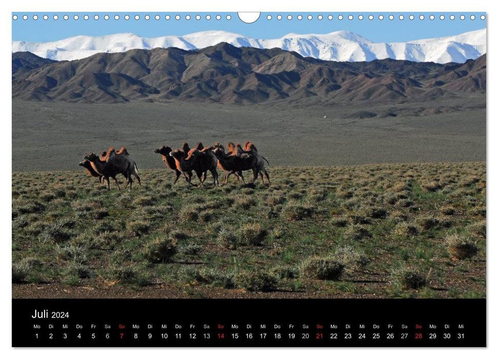 Einsame Mongolei (CALVENDO Wandkalender 2024)