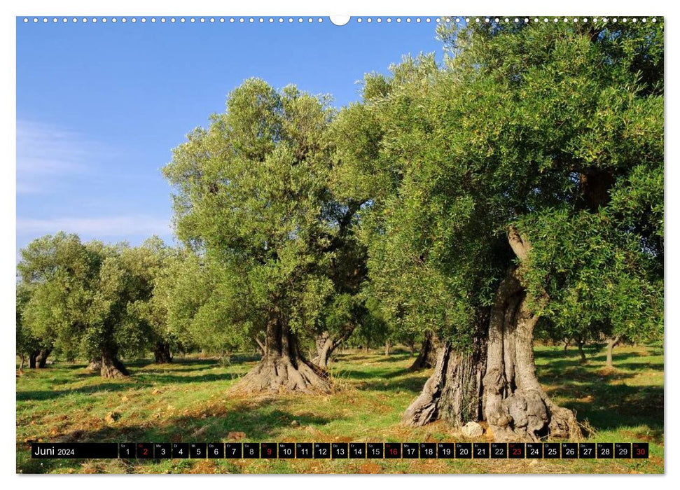 Apulia (CALVENDO wall calendar 2024) 