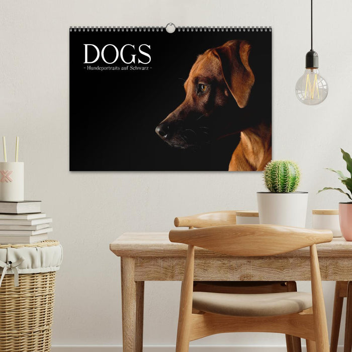 Dogs (CALVENDO Wandkalender 2024)