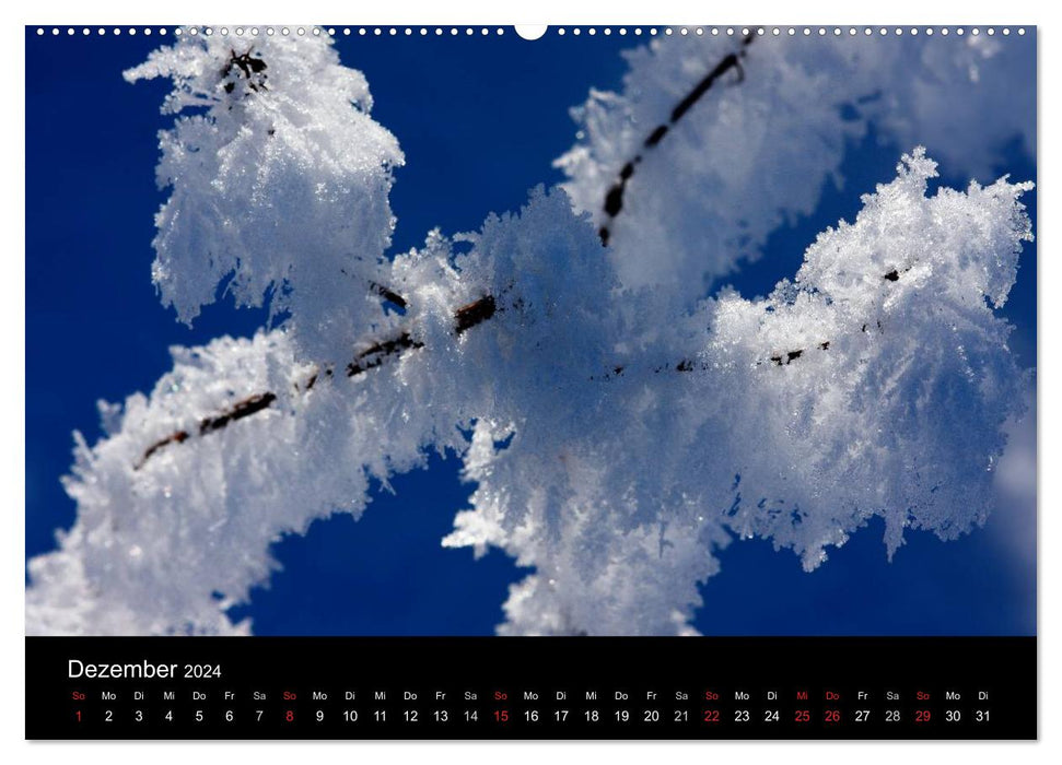 Vier Jahreszeiten (CALVENDO Wandkalender 2024)