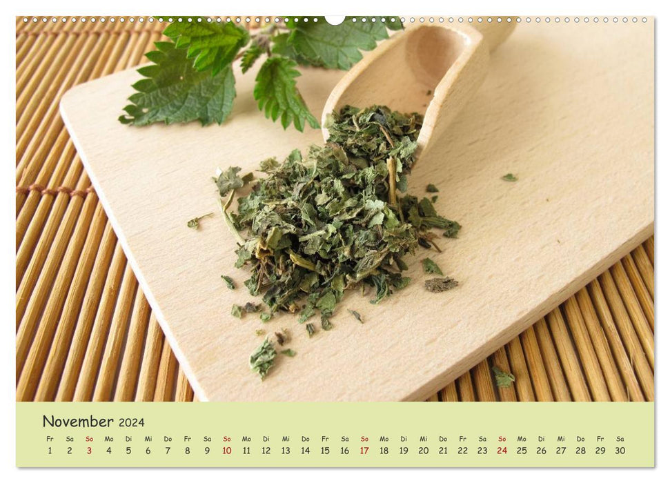 Heal naturally with plant power (CALVENDO wall calendar 2024) 