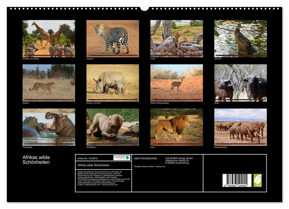 Africa's wild beauties (CALVENDO Premium Wall Calendar 2024) 