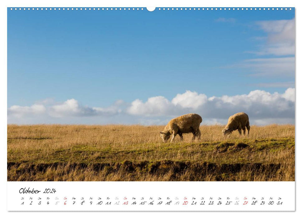 Neuseeland - Streifzug über die Nordinsel / CH-Version (CALVENDO Premium Wandkalender 2024)