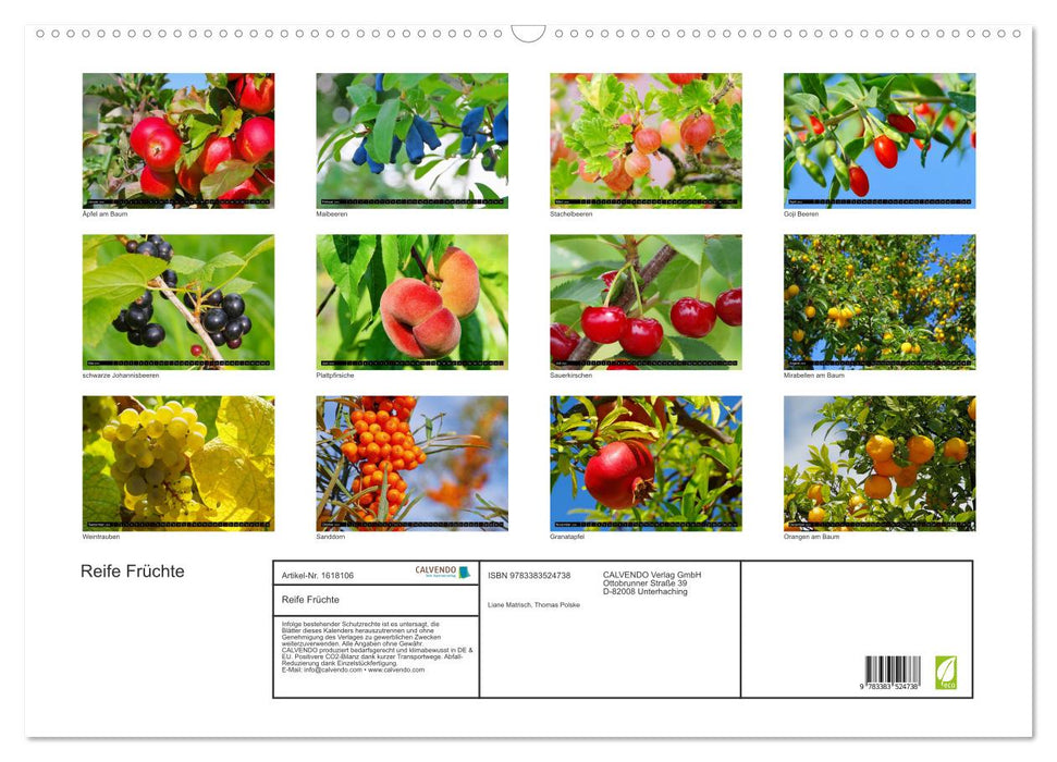 Ripe fruits (CALVENDO wall calendar 2024) 